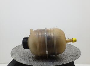 Coolant Expansion Tank PEUGEOT 206+ (2L, 2M)