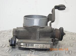 Throttle Body FORD Fiesta V (JD, JH)