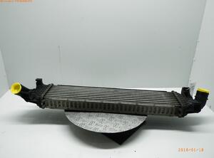 Intercooler FORD FOCUS C-MAX, FORD C-MAX (DM2)