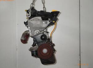 Motor kaal RENAULT TWINGO II (CN0_)