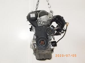 Motor kaal FORD Fiesta VI (CB1, CCN)