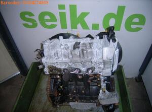 Bare Engine RENAULT Clio III (BR0/1, CR0/1)