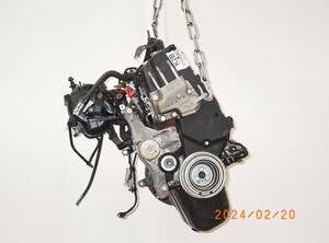 5342294 Motor ohne Anbauteile (Benzin) FORD Ka (RU8) 169A4000