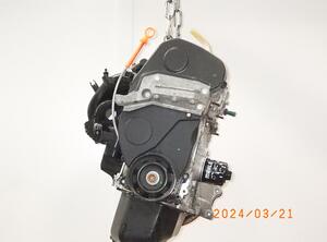 5343073 Motor ohne Anbauteile (Benzin) SEAT Ibiza IV (6J) BXW