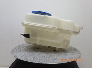 Washer Fluid Tank (Bottle) MERCEDES-BENZ B-CLASS (W245)