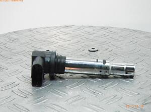 Ignition Coil VW GOLF V (1K1)