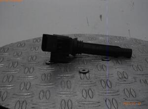 Ignition Coil VW POLO (6R1, 6C1)