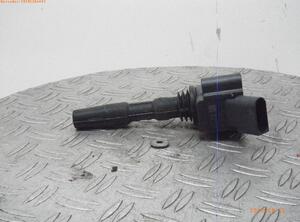 Ignition Coil VW POLO (6R1, 6C1)