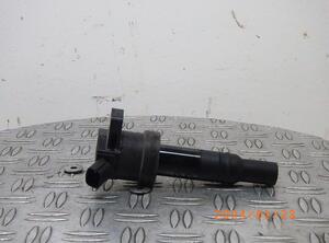 Ignition Coil HYUNDAI i10 (BA, IA)