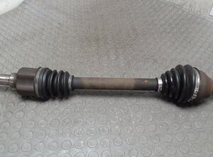 Drive Shaft FORD Focus (DAW, DBW)