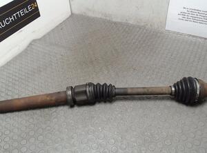 Drive Shaft FORD Focus (DAW, DBW)