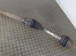 Drive Shaft FORD Focus (DAW, DBW)