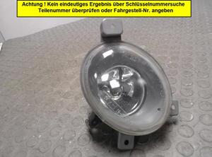 Fog Light VOLVO S60 I (384)