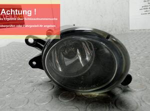 Fog Light AUDI A4 Avant (8E5, B6), AUDI A4 Avant (8ED, B7)