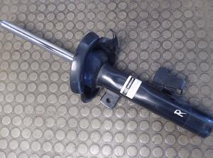 Suspension Strut FORD Focus C-Max (--)