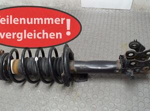 Suspension Strut MERCEDES-BENZ A-Klasse (W169)