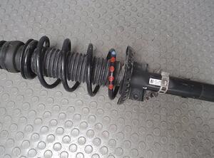 Suspension Strut SKODA Fabia II (542)