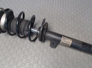 Suspension Strut BMW 1 (E87)