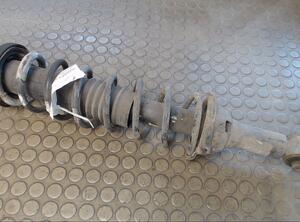 FEDERBEIN HINTEN LINKS (Hinterachse) Rover Rover 200 Benzin (RF) 1396 ccm 55 KW 1996&gt;1999