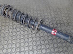 Shock Absorber VW Polo (6N1)