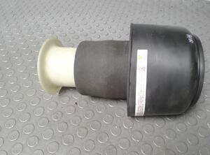 Shock Absorber BMW 5er Touring (F11)