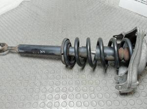 Shock Absorber AUDI A6 Avant (4F5, C6)