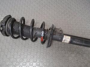 Shock Absorber SEAT TOLEDO III (5P2)