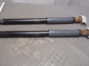 Shock Absorber FORD C-MAX (DM2), FORD FOCUS C-MAX (DM2)