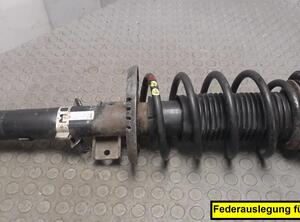 FEDERBEIN / STOSSDÄMPFER VORNE LINKS (Vorderachse) VW Polo Diesel (9 N) 1422 ccm 55 KW 2001&gt;2005