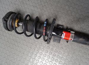 Shock Absorber VW POLO (9N_)