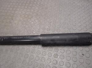 Shock Absorber NISSAN TERRANO II (R20)