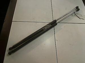 Bootlid (Tailgate) Gas Strut Spring RENAULT Laguna I (556, B56)