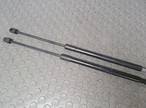 Bootlid (Tailgate) Gas Strut Spring SKODA Fabia II (542)