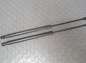 Bootlid (Tailgate) Gas Strut Spring PEUGEOT 207 (WA, WC)