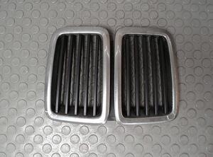 Radiator Grille BMW 5er (E28)