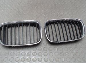 Radiator Grille BMW 5er (E39)