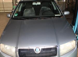 Radiateurgrille SKODA Fabia I (6Y2)