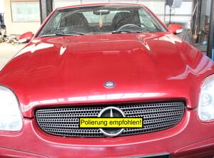 Radiateurgrille MERCEDES-BENZ SLK (R170)