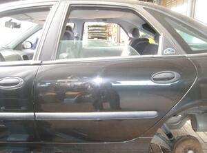 Trim Strip Door RENAULT Laguna I (556, B56)