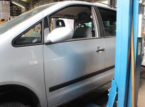 Trim Strip Door FORD Galaxy (WGR)