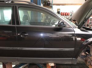 Trim Strip Door VW Passat Variant (3B5)