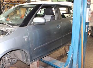 Trim Strip Door SKODA Fabia II (542)