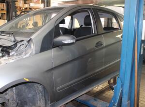 Trim Strip Door MERCEDES-BENZ B-Klasse (W245)