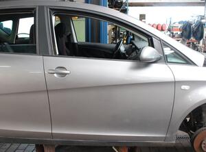 Trim Strip Door SEAT TOLEDO III (5P2)