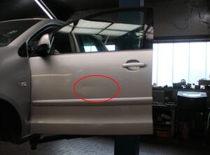 Trim Strip Door VW POLO (9N_)