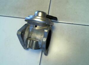 EGR Valve VW Lupo (60, 6X1)