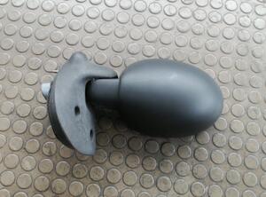 Control Throttle Blade RENAULT Twingo I (C06)