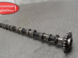 Camshaft BMW X5 (E53)