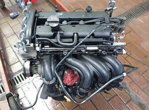 MOTOR FXJA (Motor) Ford Fiesta Benzin (JH1/JD3) 1388 ccm 59 KW 2007&gt;2008