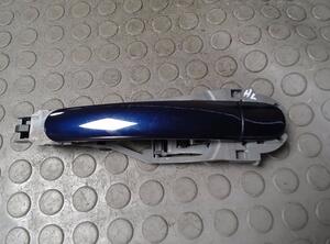 Door light bulb VW PASSAT Variant (3B5)